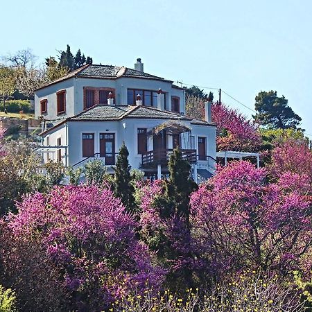 Stolios Lägenhet Skopelos stad Exteriör bild
