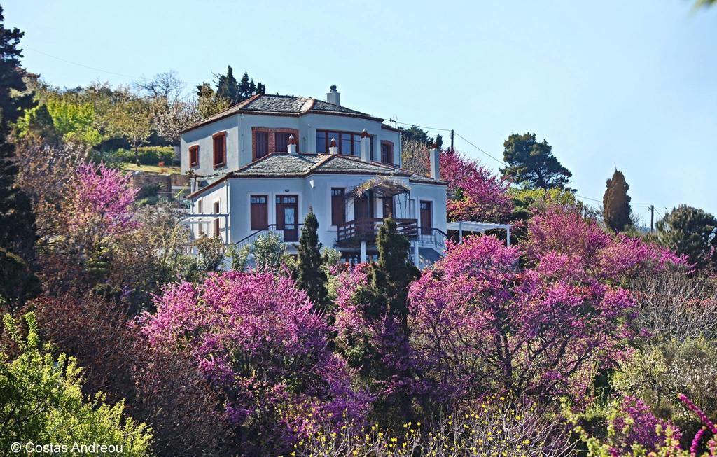 Stolios Lägenhet Skopelos stad Exteriör bild
